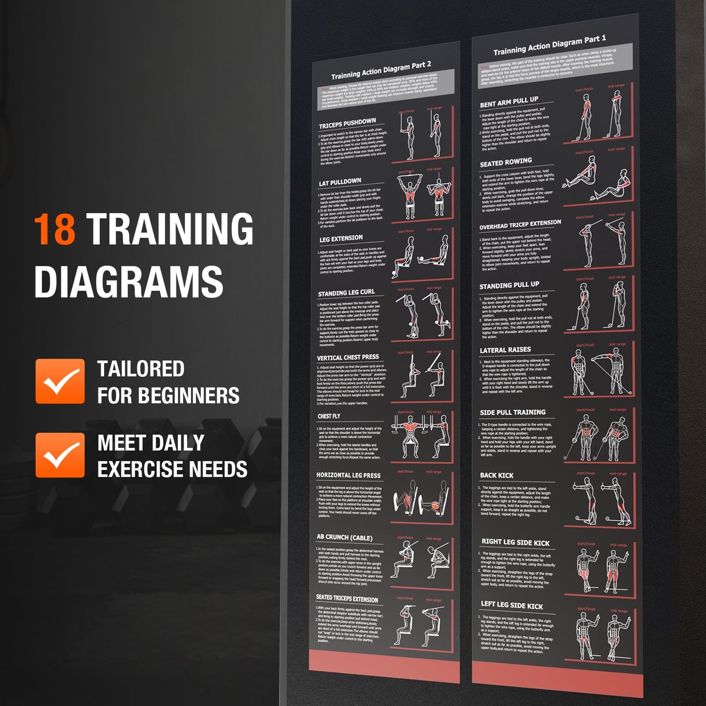 Ultimate Home Gym Station with 150LBS Weight Stack for Comprehensive Body Training